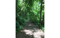 McGuires Ridge unit: 321-322, Waynesville, NC 28786