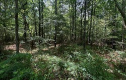 0 CLUB HOUSE ROAD, SYLACAUGA, AL 35150