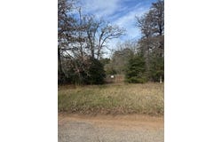 Lot 95 Travis RD, Paige, TX 78659