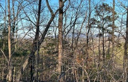 0 Henderson Springs Road, Pigeon Forge, TN 37863