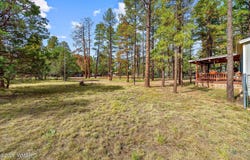 2032 Bald Eagle Court, Overgaard, AZ 85933
