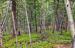 1034 Little Topsey Drive, Cripple Creek, CO 80813
