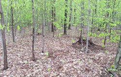 00 Hardwood Circle, Cadillac, MI 49601