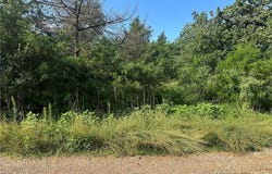 600 Blueberry Hill Road, Somerville, TX 77879