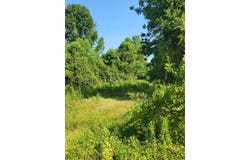 Lot  254 Petal Drive, Petal, MS 39465