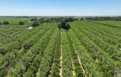 9031 21St Avenue, Lemoore, CA 93245