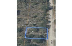 NE 69TH Street, WILLISTON, FL 32696