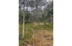 109 Hauula CT, Bastrop, TX 78602