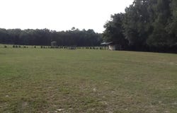 NE Dusty Miller Avenue, Madison, FL 32350