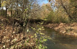 00 Old Weatherford Creek Rd, Lutts, TN 38471