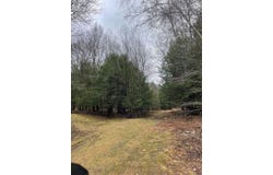 39 Birch Lane, Swan Lake, NY 12783