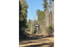53 Baker Road, Whitmire, SC 29178
