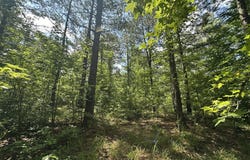 Lot 11 South Pointe Drive, Tignall, GA 30668