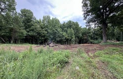 0 County Road 61, Roanoke, AL 36274