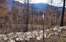 34XX NORTHPORT FLAT CREEK RD, KETTLE FALLS, WA 99141