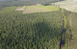 143-217 War Tom Road, Aulander, NC 27805