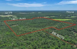 Tbd Pvt. Rd 8079 Road, Ben Wheeler, TX 75754