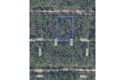 455 NIGHTINGALE AVENUE, SEBRING, FL 33870