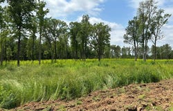 3037 Paul Robinson Road, Donalsonville, GA 39845