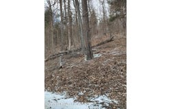 Tbd Barrus, Coxsackie, NY 12051