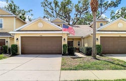 8539 SANDPIPER RIDGE AVENUE, TAMPA, FL 33647