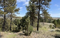 Ridge Dr, Miles City, MT 59301