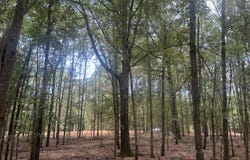 2 Francis Marion Blvd, Summerton, SC 29148