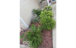5714 High Timber Lane, Indianapolis, IN 46235