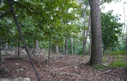 LOT 7 JUSTIN LN, GREAT CACAPON, WV 25422