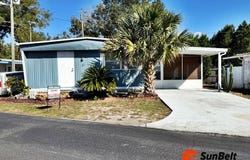 13 Rose Lane, Mount Dora, FL 32757