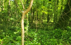 0 Watkins Glen, Kennesaw, GA 30144