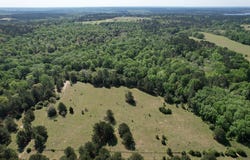 2954 CR 2170, Grapeland, TX 75844