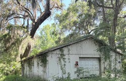 3553 NE 162ND PLACE, CITRA, FL 32113