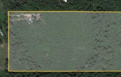 4557 Elderberry, Gilmer, TX 75644