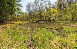 N43922 Cr-O, Osseo, WI 54758