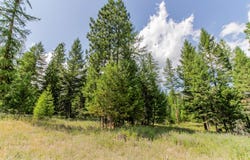 517 Haskill Ranch Road, Kila, MT 59920