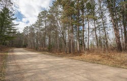 Tbd N Bass Lake Drive NE, Remer, MN 56672