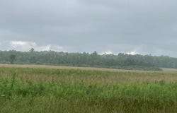 125.87 Acres JOHNS LANE, Medford, WI 54451