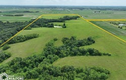 Olive, Fairfield, IA 52556