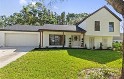 3720 MURRAY DALE Drive, VALRICO, FL 33596