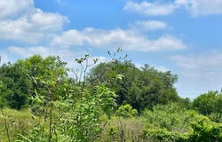 10348 River Rd, Camp Wood, TX 78833
