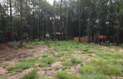 0 Hickory Dr, Summerton, SC 29148