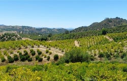 5 De Anza Road, Temecula, CA 92590