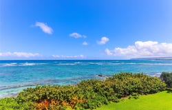 68-159 Au Street, Waialua, HI 96791