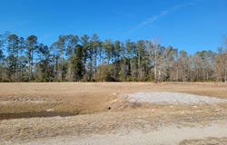 0 Academy Road, Walterboro, SC 29488