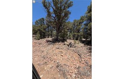 9th Trail, Cotopaxi, CO 81223