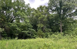 Tract X on Meadow Creek  DR, Harrison, AR 72601