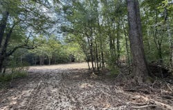 SW Dalton Lane, Smithdale, MS 39664
