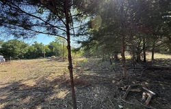 4580 FM 128, Ben Franklin, TX 75415