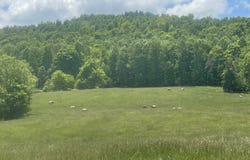 Tract #13 Hunter Ray Way, Albany, KY 42602